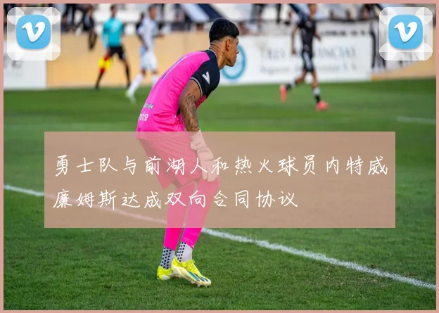 勇士队与前湖人和热火球员内特威廉姆斯达成双向合同协议